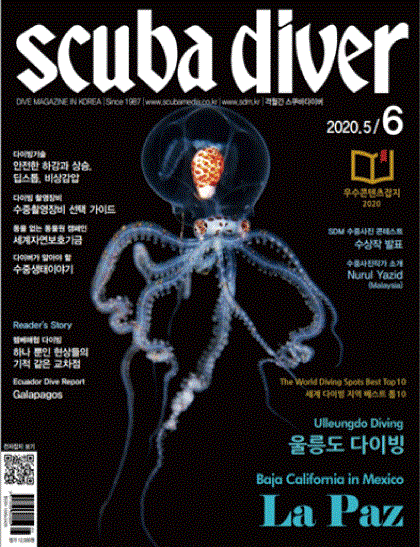 컨텐츠이미지